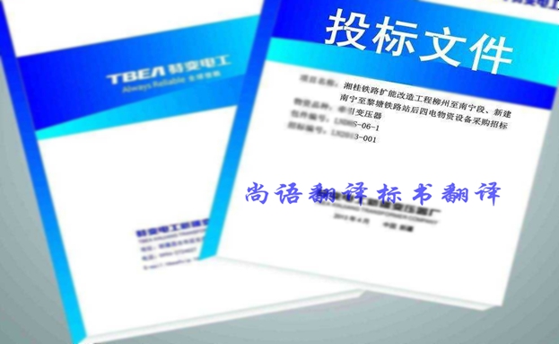 西班牙語投標書翻譯價格要多少錢？收費標準是什么？